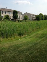 /album/the-vista-condominiums/a2014-07-20-12-05-28-jpg/